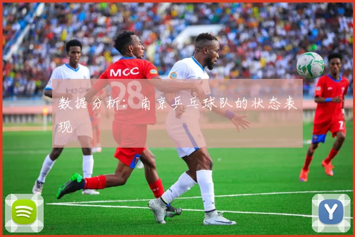 数据分析：南京乒乓球队的状态表现