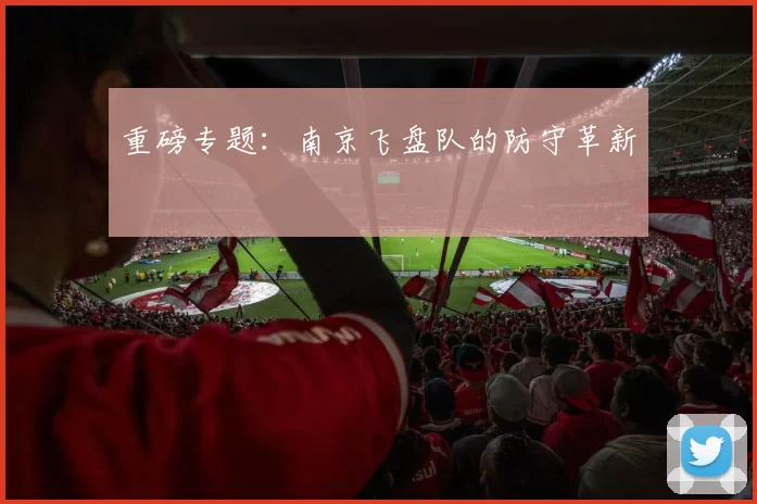 重磅专题：南京飞盘队的防守革新