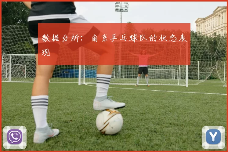 数据分析：南京乒乓球队的状态表现