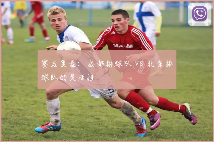 赛后复盘：成都排球队 vs 北京排球队的灵活性