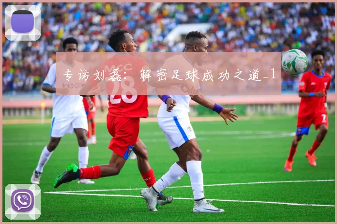 专访刘磊：解密足球成功之道_1