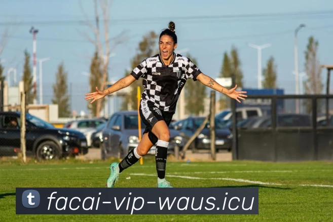 爱游戏体育品牌故事